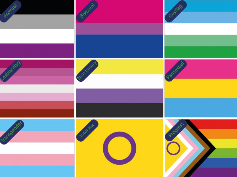 thumbnail: Set Van 2 Gay Pride Vlaggen - 90x150cm Regenboogvlag LGBTQ - Met Messing Ogen Voor Optochten En Feesten