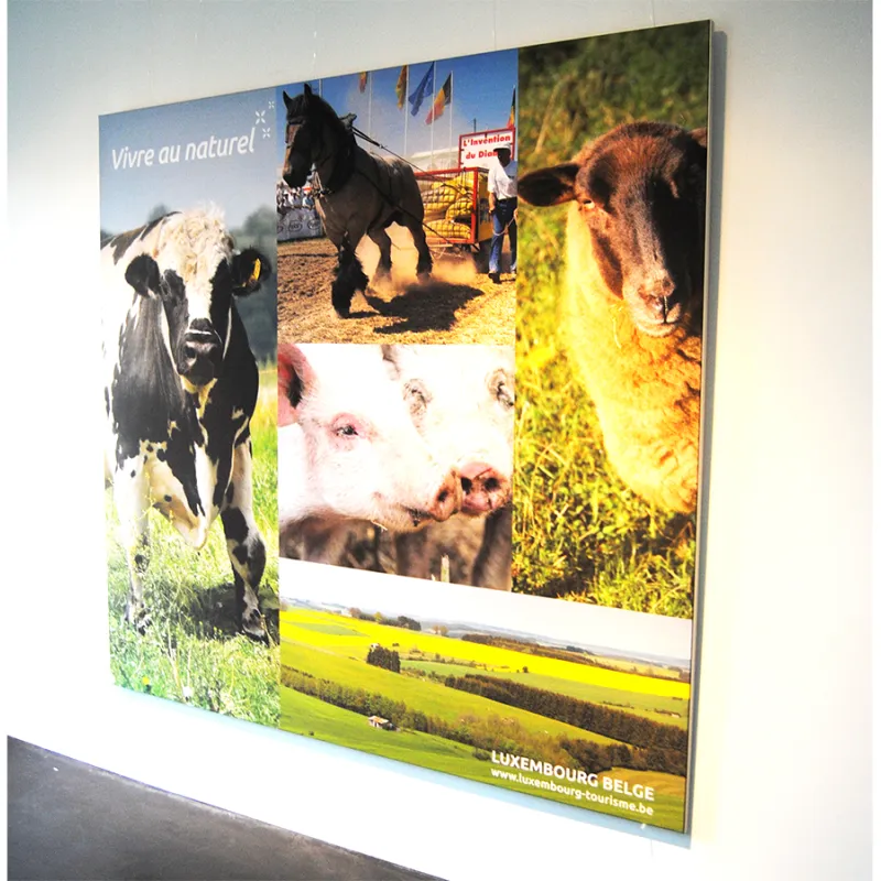 Texframe textiel kader met print