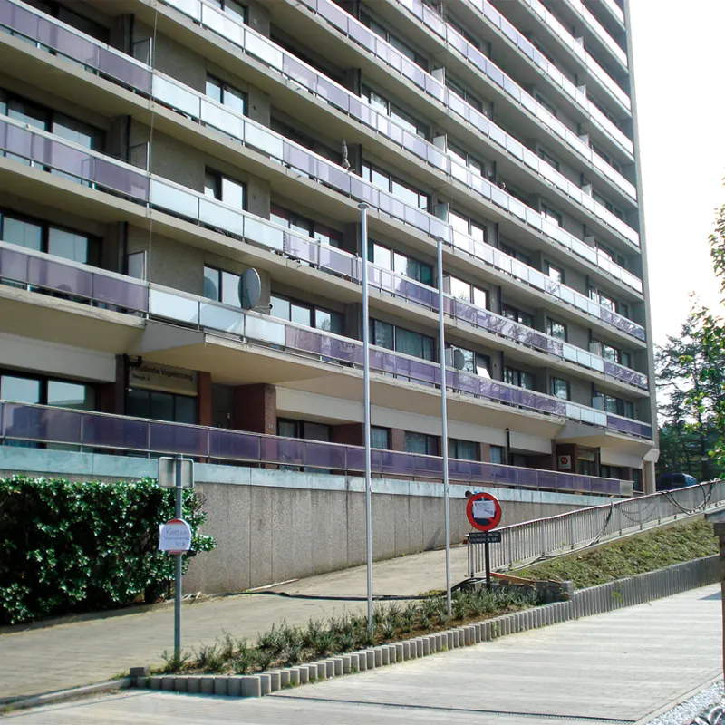 Mât avec pommeau et drisse