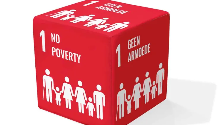 SDG seatcube
