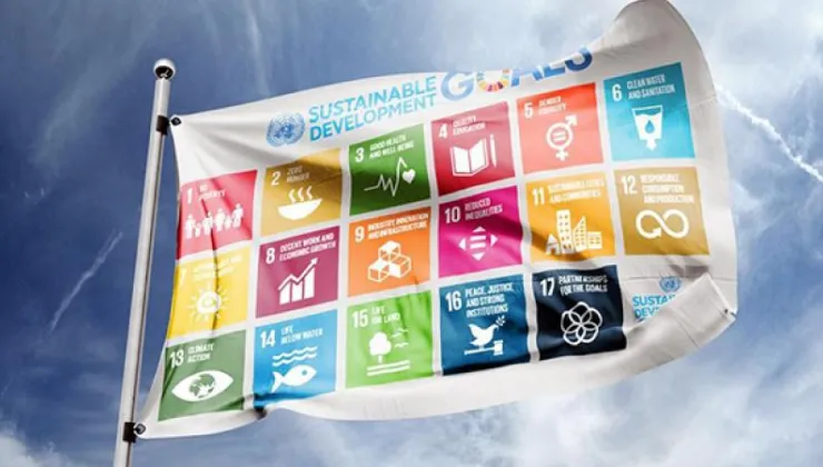SDG flag banner