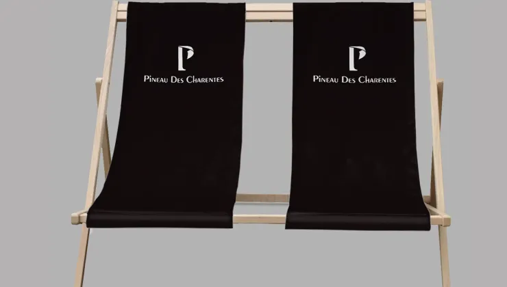 customized Deck Chair with printed logo duo 
