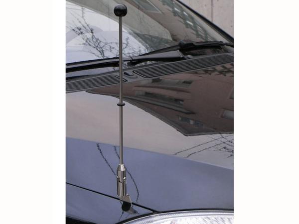 car flag pole for diplomatic use with screw