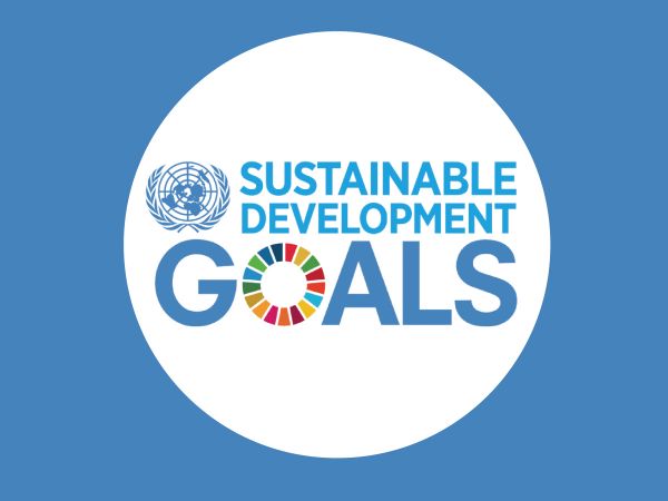 SDG sustainable development goals