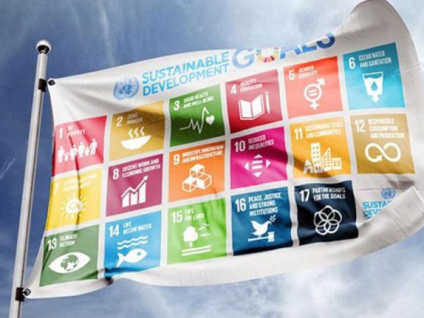 SDG flag banner