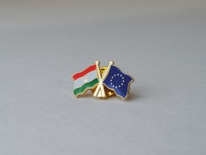 Eu flag pin with country crossed pins