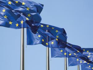 bedrukte en gepersonaliseerde vlaggen bestellen, wimpels met logo en eigen opdruk