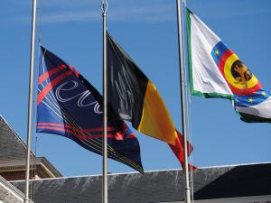 bedrukte en gepersonaliseerde vlaggen bestellen, wimpels met logo en eigen opdruk