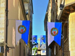 bedrukte en gepersonaliseerde vlaggen kopen, wimpels met logo en eigen opdruk