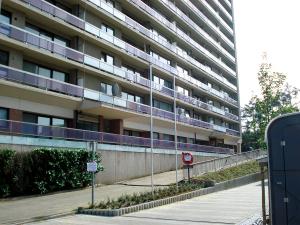 Mât avec pommeau et drisse