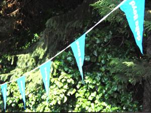 Flaglines for Delta Lloyd