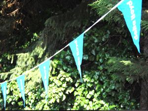 Flagline in polyester